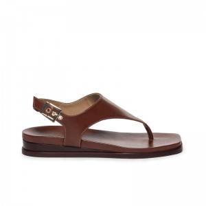 Women Bernardo Concord Thong Flat Sandals Chocolate | XMC9523RC