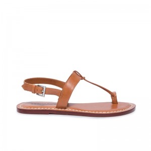 Women Bernardo Maverick 2 Toe Ring Flat Sandals Brown | CZC7450PN