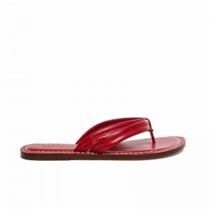 Women Bernardo Miami Thong Slide Sandals Red | WEM8541IJ