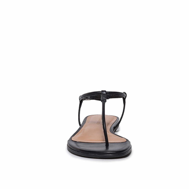 Women Bernardo Haven Thong Flat Sandals Black | LJT9634XB