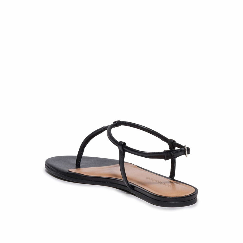 Women Bernardo Haven Thong Flat Sandals Black | LJT9634XB