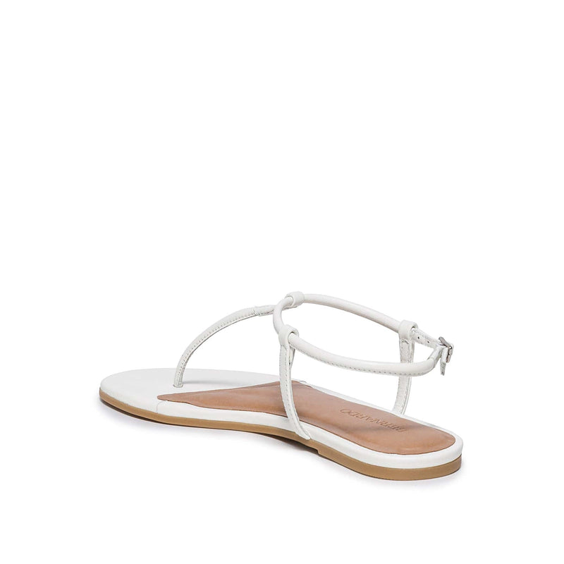 Women Bernardo Haven Thong Flat Sandals White | BDY9113BG