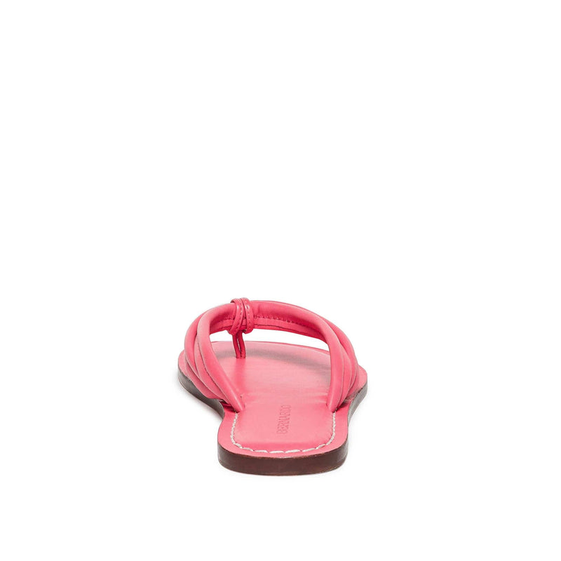 Women Bernardo Miami Thong Slide Sandals Pink | ORJ1646UT