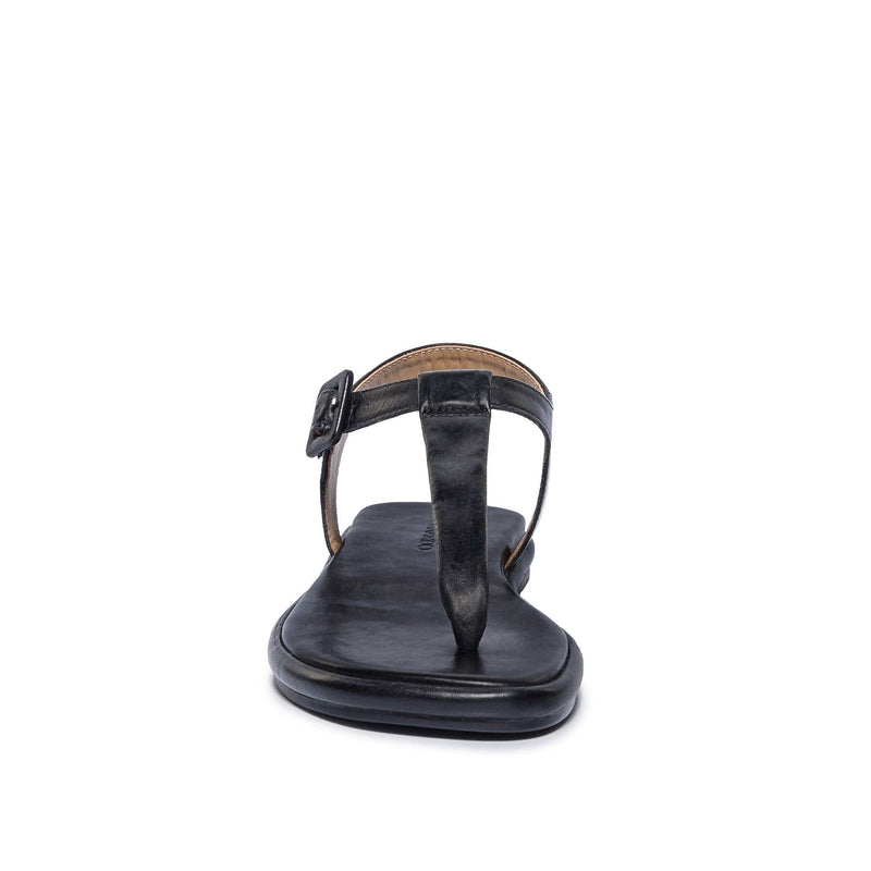 Women Bernardo Tucson T-Strap Flat Sandals Black | FRD8794OJ