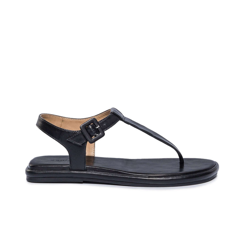 Women Bernardo Tucson T-Strap Flat Sandals Black | FRD8794OJ