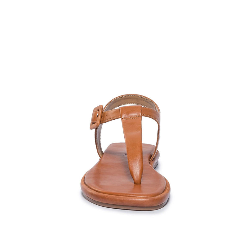 Women Bernardo Tucson T-Strap Flat Sandals Dark Brown | XYA6864RH