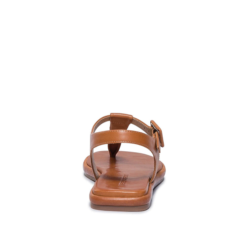 Women Bernardo Tucson T-Strap Flat Sandals Dark Brown | XYA6864RH